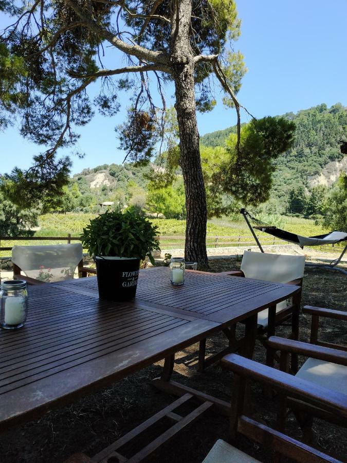 Villa Conifera Zákinthosz Kültér fotó